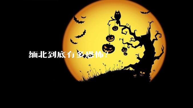 缅北到底有多恐怖？