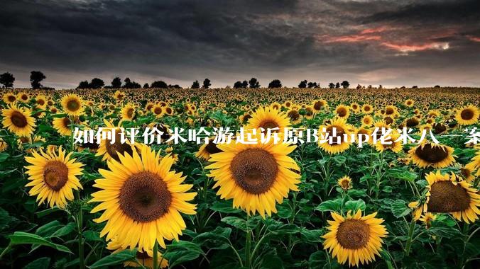 如何评价米哈游起诉原B站up佬米八一案将于5月22号在上海开庭?